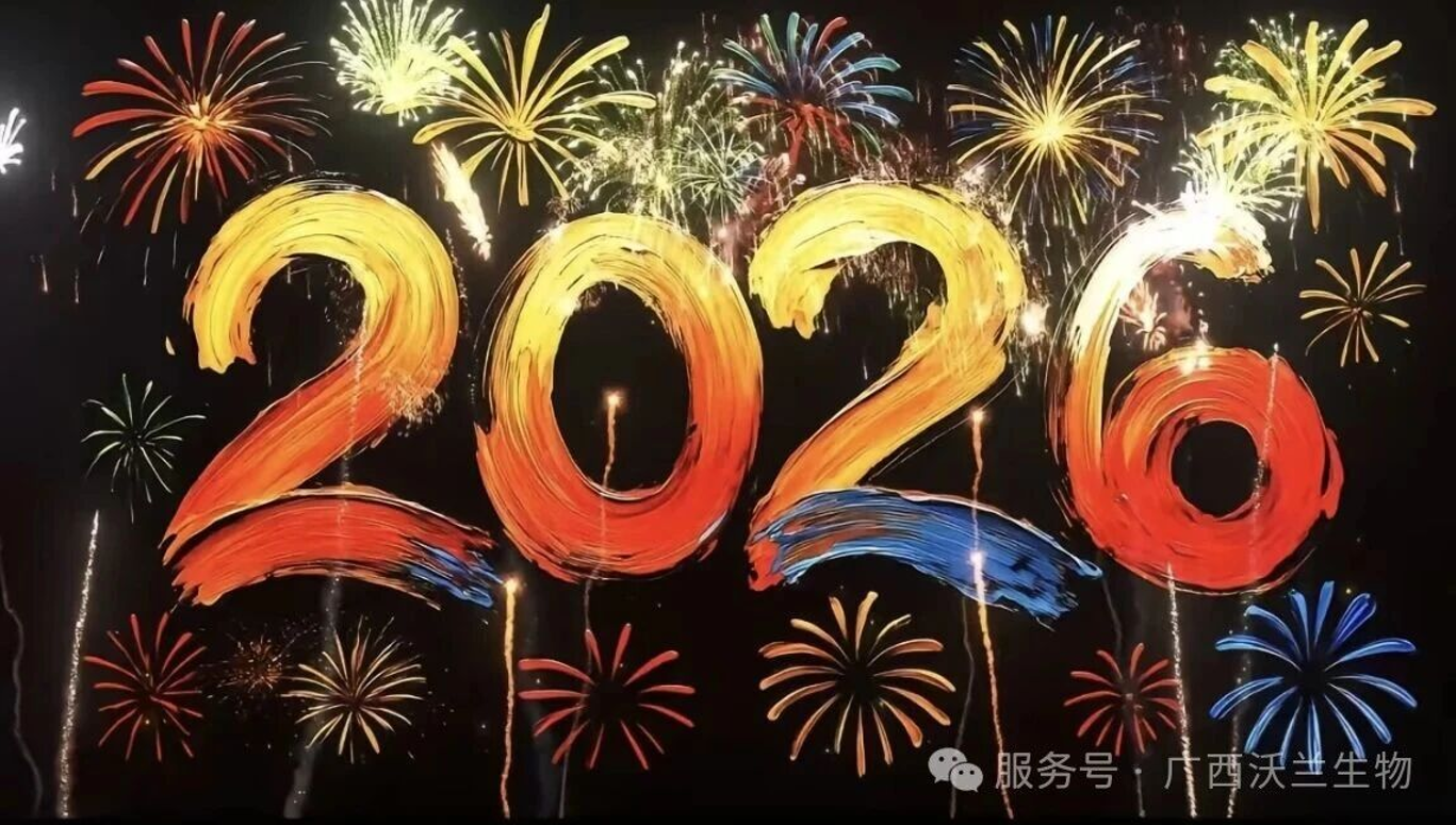 沃兰新篇 | 2025岁末终章，致2026的自己与团队：尽我所能，敬我不能
